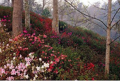 《机神终结者X》实机演示 20年经典横版动作游戏新篇